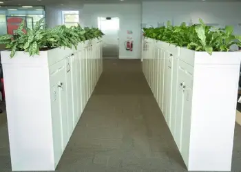 img1